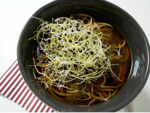 Japanese Food | Itsuki Soba noodles in tsuyu served with kombu and ...