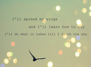 bird, fly, inspiration, life, life quotes, quotes, sky, spread, wings