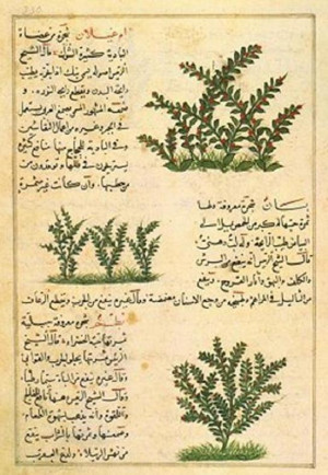 Botany, Herbals and Healing In Islamic Science and Medicine