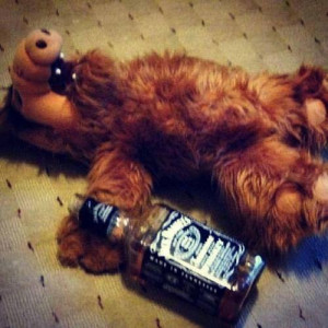 alf + jack daniels ;]