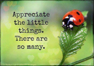 Appreciate the little things picture quotes image sayings