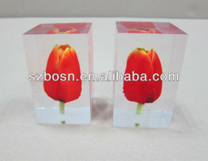 ... Acrylic Paperweight with Tulip Inside, Lucite Cube, Acrylic Block