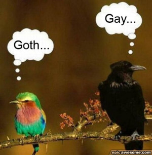 Goth Hippie Bird