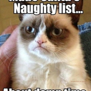 tard the grumpy cat nsmbl10