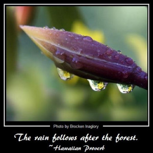 Famous Proverbs and Sayings #Arabic #English #Japanese #Chinese # ...