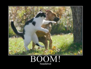 2013 Catchphrases: “Sorry I’m Not Sorry”