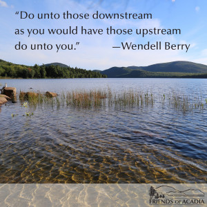 Friday Quote: Wendell Berry