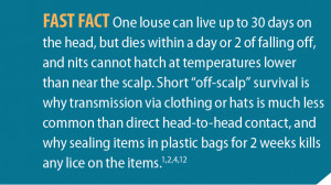 Head Lice Myths Facts...
