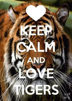 tiger love More