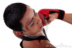 Boxer Fight Punch Face