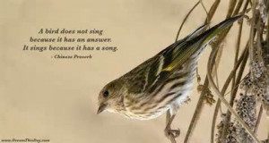 Bird Does Not Sing Because It Has An Answer It Sings Because It Has ...