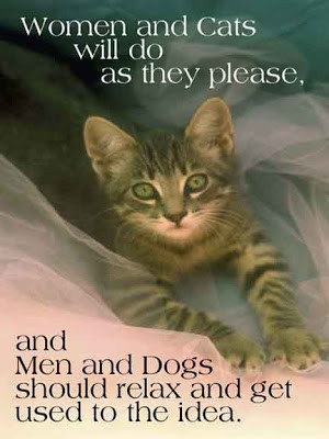 From Denny: What is cute about these cat quotes is they say more about ...
