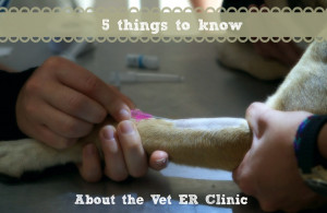 Go Back > Gallery For > They Told Me I Could Be Anything So I Became A ...