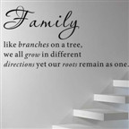 Matter Family English quote Wall Sticker Wall Decal