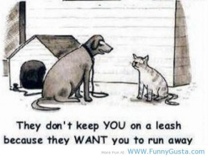 Funny Dog Quotes And Sayings | Cute pets : dog and cat – funny ...