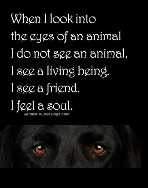 ... animal. I see a living being. I see a friend. I feel a soul. quote by