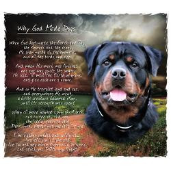 why_god_made_dogs_rottweiler_greeting_card.jpg?height=250&width=250 ...