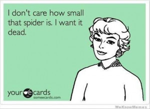 do not care how small the spider is i want it dead, funny quotes