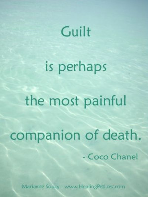 Quotes About Healing After a Loss Pets Eulogy Pets Loss Sayings Love ...