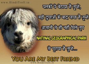 FUNNY HINDI COMMENTS/QUOTES WALLPAPER ON FRIENDSHIP