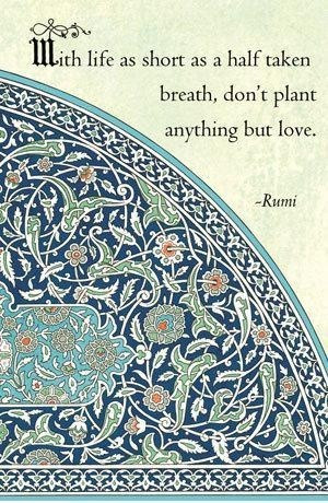 Jalal ad din rumi, quotes, sayings, life, plant, love
