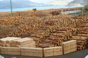 Forestry_timber_wood_logs.jpg