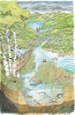 Discover Your Watershed Interactive Watershed Illustration Threats to ...