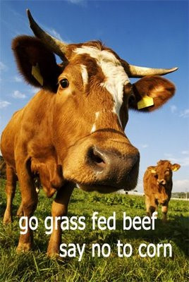 Another Nail in the Grass Feed Beef is better than Grain Feed Beef ...