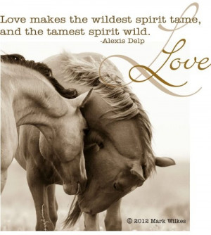 Love makes the wildest spirits tame, and the tamest spirits wild.