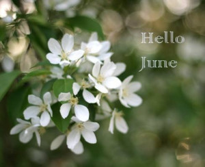 Happy June.....