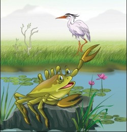 The Heron and the Crab