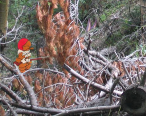 Elmer fudd hunting wabbits video