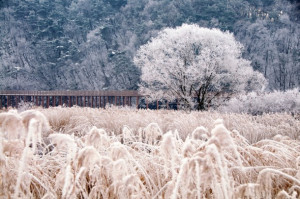 ... in chuncheon south korea tags landscape winter chuncheon south korea
