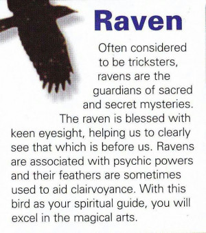 Spirit guide, the Raven