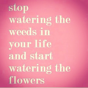 Water the Flowers Quote