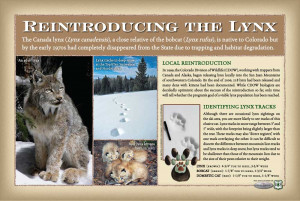 ... interpretive sign explains the re-introduction of the Canada Lynx, and