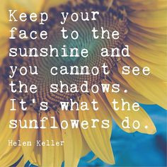 Sunflower Photograph Helen Keller Quote | Inspirational Wall Art ...