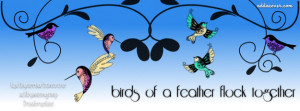 Birds of a Feather Facebook Cover