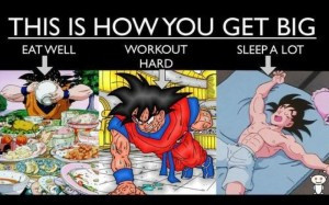 Life and Training Lessons From Dragon Ball Z