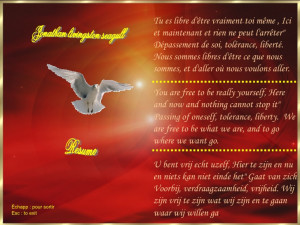 theroadnottaken jonathan livingston seagull