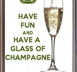have-fun-and-drink-champagne-fridge-magnet-unique-champagne-lover-s ...