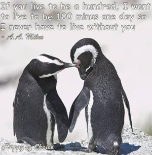 Penguin love quote via Happy By Choice on Facebook at www.Facebook.com ...