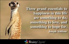 ... quotes meerkats grand essenti happiness quotes joseph addison love