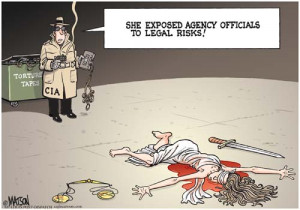 Risk Management Cartoons