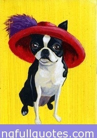 Red Hat Society Dog Image - http://meaningfullquotes.com/red-hat ...