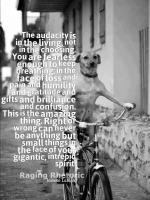 Pinned by Amanda Haddix