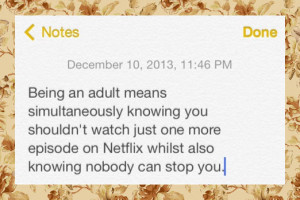 funny-picture-adult-Netflix-quote-notes