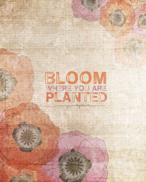 Bloom where you are planted.