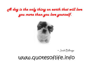 dog is the only thing on earth that loves you more than you love ...