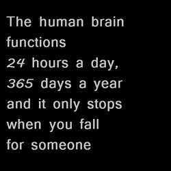 human brain dailyrant